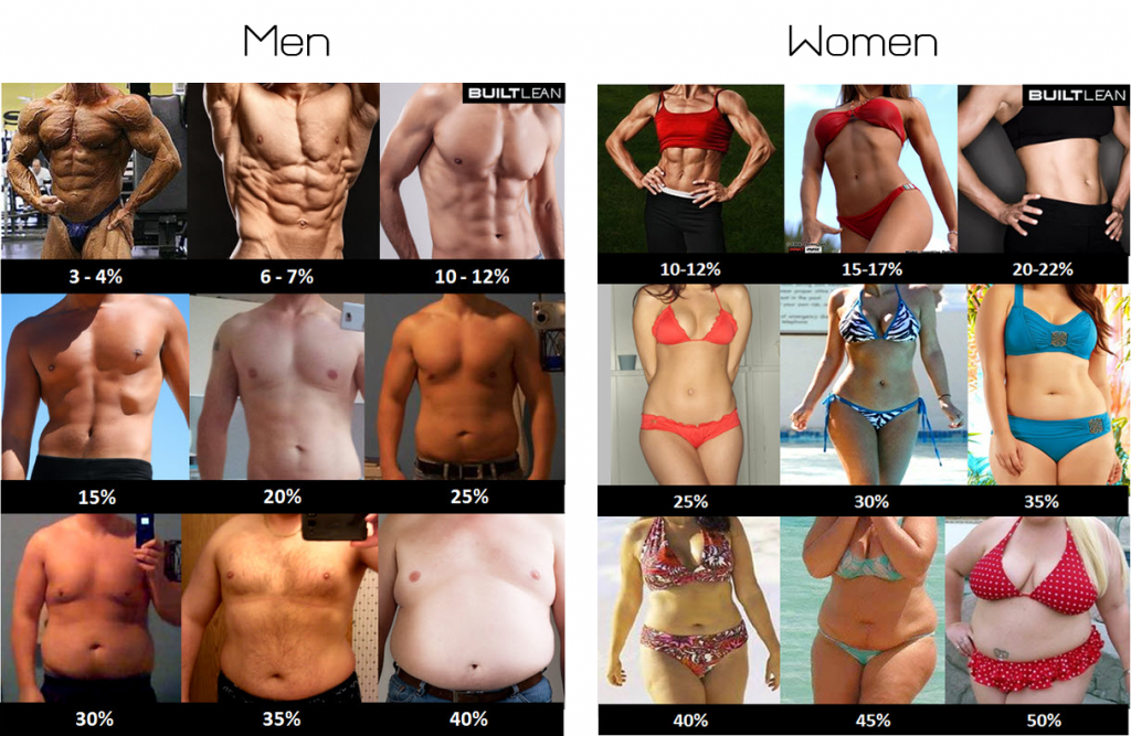 Body Fat For Female 26