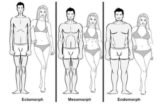 Diet Body Types